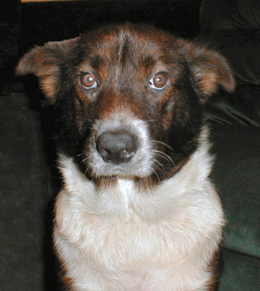 File:Sally.jpg